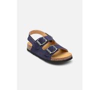 Scholl - TURTLE COLLECTION Blu - Sandali e scarpe aperte 28 Blu