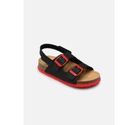 Scholl - TURTLE COLLECTION Nero - Sandali e scarpe aperte 35 Nero