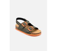 Scholl Turtle, Sandal Bambine e ragazze, Cachi, 24 EU