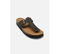 Scholl - YVES COLLECTION Verde - Infradito 42 Verde