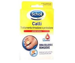 SCHOLLS CER CALLIF TRATT R/PROT