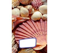 School composition notebook: Travel notebook, Vacation journal, Sea shells diary, Summer time project book,