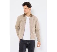 Schott - Blouson Col Chemise-CADAMSWASH Beige - Abbigliamento M Beige