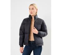 Schott - Doudoune Courte Nero - Abbigliamento XS Nero