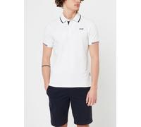 Schott - Polo Basique-PSDEVON Bianco - Abbigliamento L Bianco