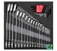 Schraubenschlüsselsatz 4/6 Ct-Modul 24-teilig GEDORE R22250001