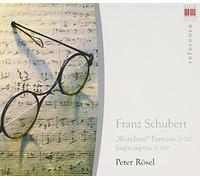 Schubert, F. - Fantasy C Major Wanderer/I