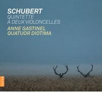 Schubert, F. - Schubert: String Quintet In C Major