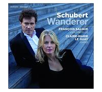 SCHUBERT, F. - WANDERER
