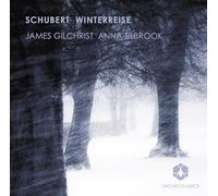 Schubert, F. - Winterreise