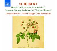 SCHUBERT, F. - WORKS FOR VIOLIN VOL.2