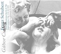 Schubert - Flute Works - Dennis Brown (Audio cd)