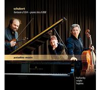 Franz Schubert Schubert: Fantasie, D934/Piano Trio, D898 (CD) Album