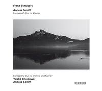 Schubert Franz - Wanderer Fantasie D 760, Fantasia P