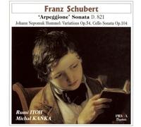 SCHUBERT/HUMMEL - ARPEGGIONE SONATA/VARIATI