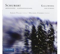 Schubert/Kalliwoda - Arpeggione Sonata D821, Schwanenegesang D957