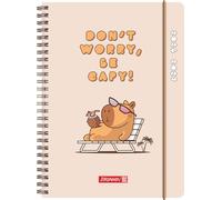 Schülerkalender 2026/2027 "Capy" | A5, Kunststoff