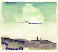 Schuler/ Triosence - One Summer Night