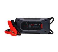 Schumacher Rugged - Booster Batteria Ioni di Litio 2000A 12V - Veicoli fino a 8,0L Benzina / 6,0L Diesel - SBX 463 - Torcia Super Potente - Porto USB 2,4A Sortie / 2,0A Entrata - Protezione IP64