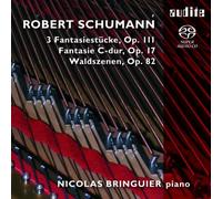 Schumann, R. - Fantasie C-Dur Waldszenen 3