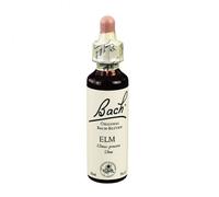 Elm Bach Original 20 Ml
