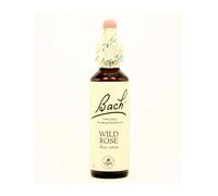 Wild Rose Bach Original 20 Ml