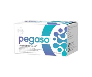 Schwabe Pharma Pegaso Enterodophilus Junior Integratore Alimentare, 14 stick