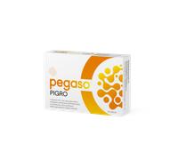 Pegaso PEGASO MODULAX 150 ML