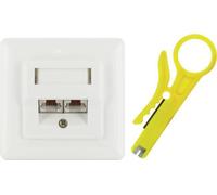 Schwaiger STP-Netzwerkdose Cat6 UP ge NEW