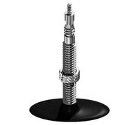 SCHWALBE