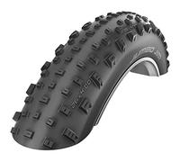 SCHWALBE