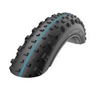 SCHWALBE