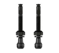 Schwalbe Clik&nbsp Presta Tubeless 40 Mm Valves Argento