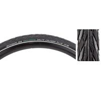 Schwalbe Delta Cruiser Plus Pneumatici 700x38 Active Doppio Punctureguard E25