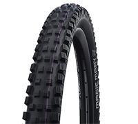 SCHWALBE TI. MAGIC MARY Evo, Downhill