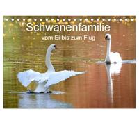 Schwanenfamilie, vom Ei bis zum Fliegen. (Tischkalender 2026 DIN A5 quer), CALVENDO Monatskalender: Eine Geschichte von der man zehren kann. Es hat viel Spaß gemacht diese Geschichte zu dokumentieren