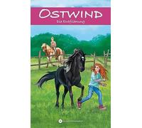 Schwarz Rosa Le Ostwind - Die Entführung: Neue Abenteuer von (Copertina rigida)