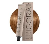 Schwarzkopf Professional IGORA Royal Absolutes tinta per capelli colore 7-50 60 ml