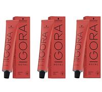 Schwarzkopf Igora Royal 6-65, set da 3 flaconi da 60 ml