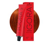 Schwarzkopf Professional IGORA ROYAL Permanent Color Creme 6-77 Biondo Scuro Rame Extra Tubo 60 ml