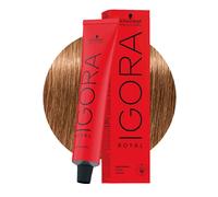 Schwarzkopf Professional IGORA ROYAL Permanent Color Creme 7-77 Biondo Medio Rame Extra Tubo 60 ml