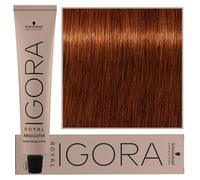Schwarzkopf IGORA Assoluto 6-70 Biondo Scuro Rame Naturale Tubo 60 ml