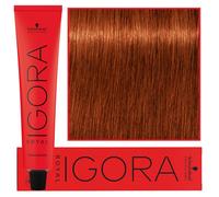 Schwarzkopf Professional IGORA Royal tinta per capelli colore 6-77 Dark Blonde Copper Extra 60 ml