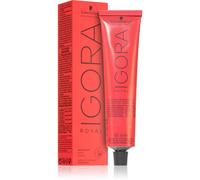 Schwarzkopf Professional IGORA ROYAL Permanent Color Creme 7-13 Biondo medio Cendré Matt Tubo 60 ml