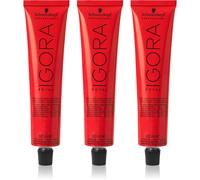 Schwarzkopf Professional IGORA Royal tinta per capelli confezione conveniente colore 7-0 Medium Blonde Natural 3x60 ml
