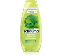 Schwarzkopf Schauma Nettle Freshness shampoo detergente per capelli e cuoio capelluto grassi 400 ml