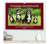 Schweizer Sennenhunde - die Hunde aus den Schweizer Alpen (hochwertiger Premium Wandkalender 2026 DIN A2 quer), Kunstdruck in Hochglanz: Schweizer Sennenhunde in 13 faszinierenden Bildern