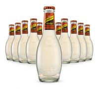 Schweppes selection Ginger Beer & Chili 20 onfezione da 12 Bottigliette