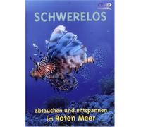 Schwerelos - Abtauchen und entspannen im Roten Meer