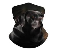 Sciarpa A Mezza Faccia Black Labrador Copricapo A Mezza Faccia Scaldacollo Tubolare Protezione Uv Per Snowboard Yoga 25X50 Cm